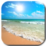 beach video live wallpaper android application logo